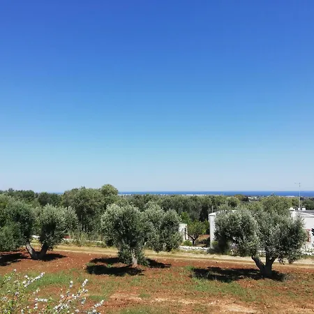 Trullo Delle 펜션 *