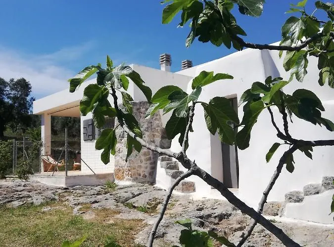 Trullo Delle Vakantiehuis Carovigno